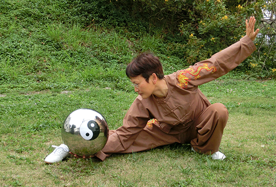 Taichi Qigong Ball Kungfudoc 2