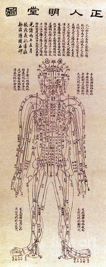 chinese acupuncture chart science source
